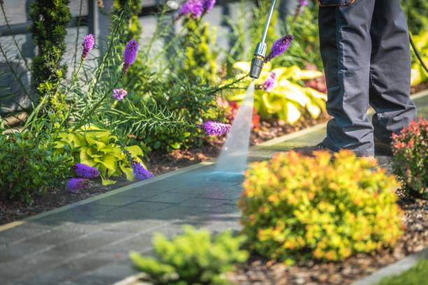 Best Patio and Deck Pressure Washing  in Woodbury Heights, NJ