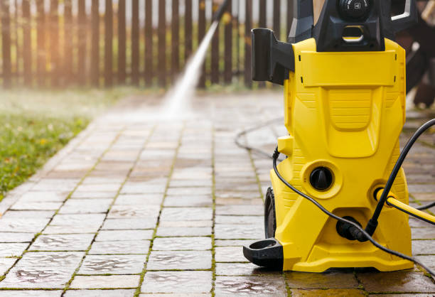 Animal Enclosure Cleaning in Woodbury Heights, NJ